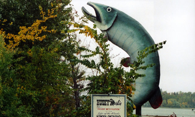 Kenora, Ontario attraction Husky the Muskie
