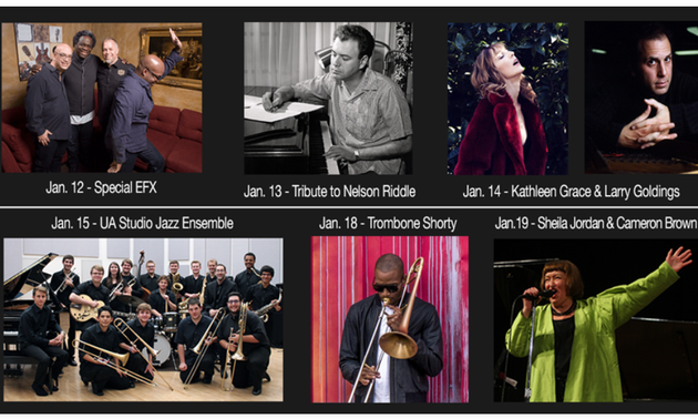 photos of artists playing at the festival
