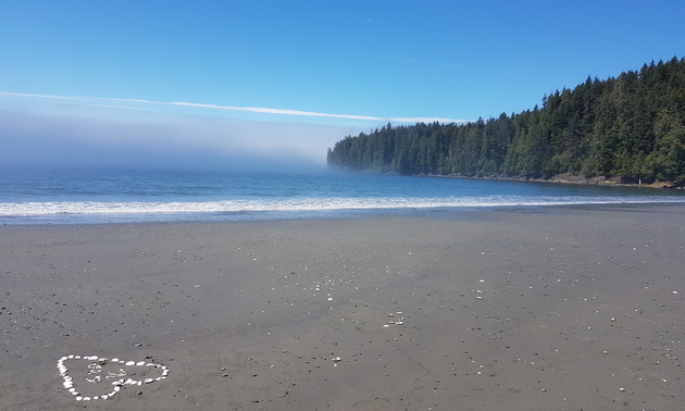beach with a sunny sky