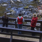 people on a bridge