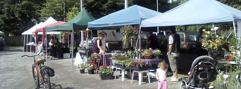 Fort Langey farmers' market.