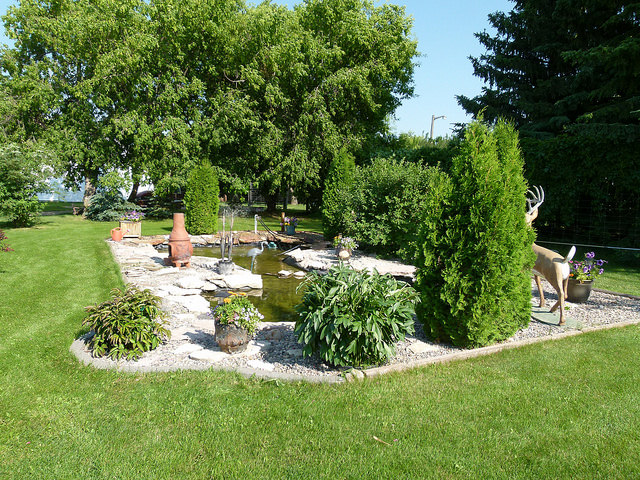 The fish pond at JWD Market Garden, Outlook, SK.