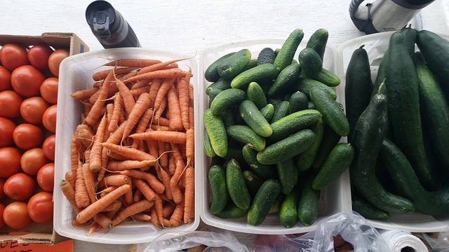 Fresh carrots, cucumbers, zuchini and tomatoes on display at the Dawson Creek Farmers' Market.