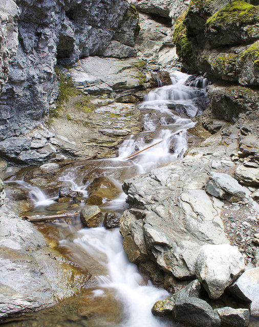 Star Creek near Blairmore, Alberta