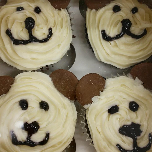 Cupcakes that are iced to look like little bear faces.