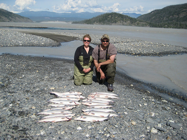 Ben and Rebecca Pazdernik kneeling behind their catch of salmon on Copper River. 