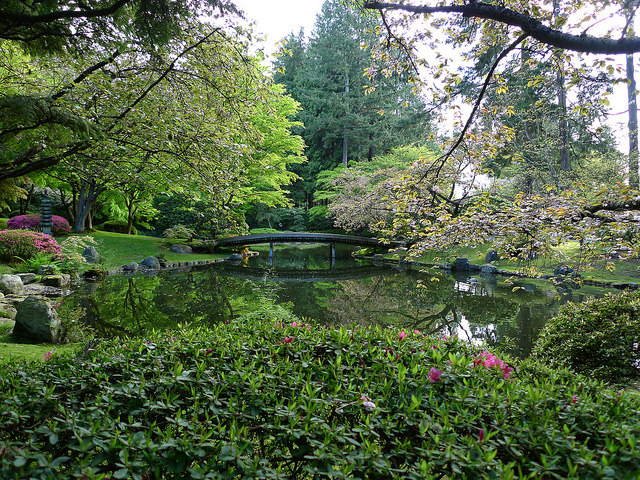 Overview of the Nitobe Garden