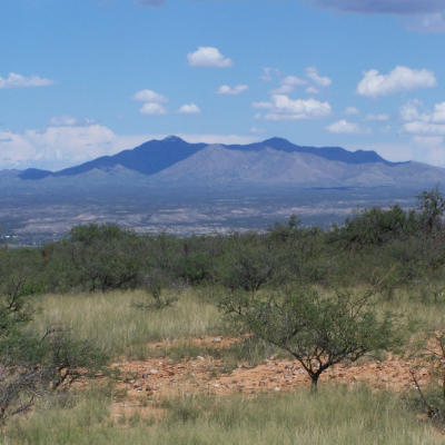 Benson, Arizona, has a bounty of natural beauty.