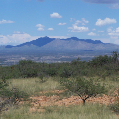 Benson, Arizona, has a bounty of natural beauty. 