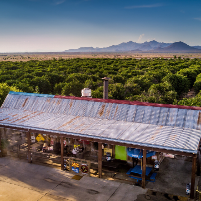 Jalapeno Bucks at B and B Citrus Farm is surrounded by greenery and mountains in the distance. 