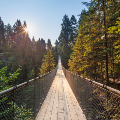 Capilano Suspension Bridge is a long suspended footbridge spanning 137 metres (450 feet) long and 70 metres (230 feet) high above the Capilano River below.