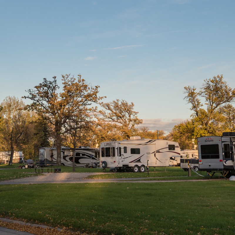 RVs lined up in a campground