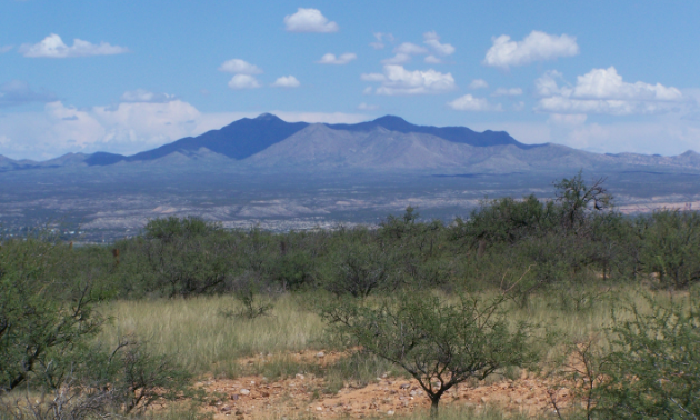 Benson, Arizona, has a bounty of natural beauty.