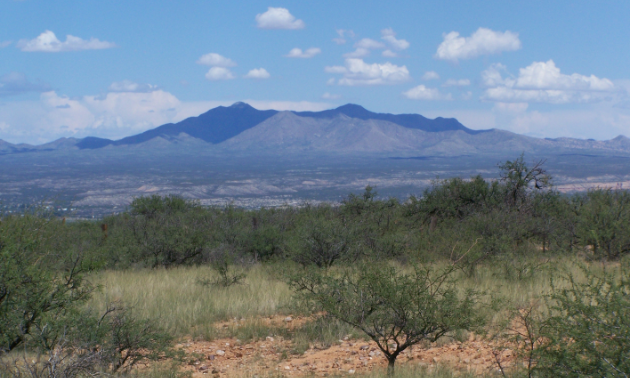 Benson, Arizona, has a bounty of natural beauty. 