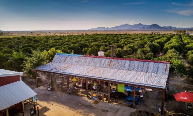 Jalapeno Bucks at B and B Citrus Farm is surrounded by greenery and mountains in the distance.