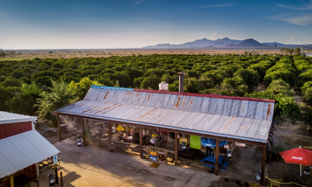 Jalapeno Bucks at B and B Citrus Farm is surrounded by greenery and mountains in the distance. 