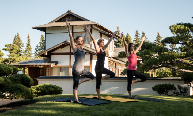 Women hold yoga poses.