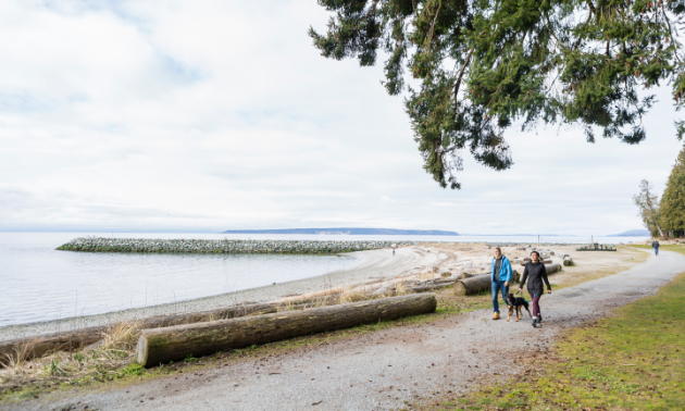 Two women take a dog for a walk along a shoreline.