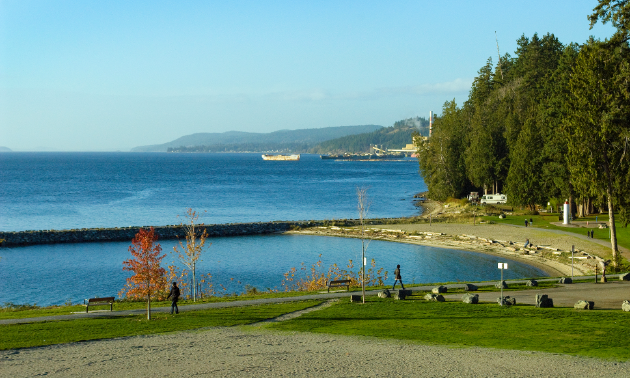 The coastline of B.C. has trees and mountains.