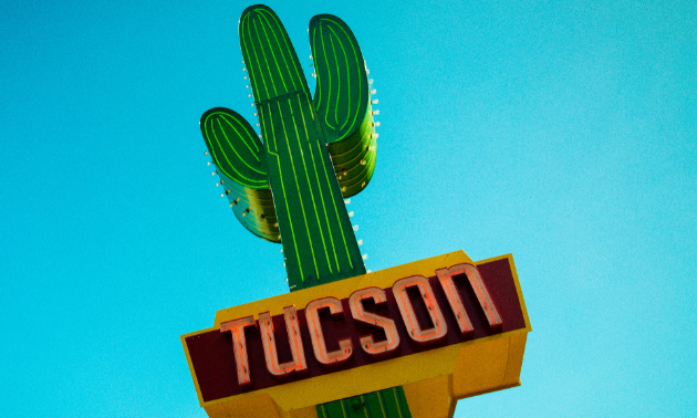 This isn’t the only cactus you’ll spot when you visit Tucson, Arizona.