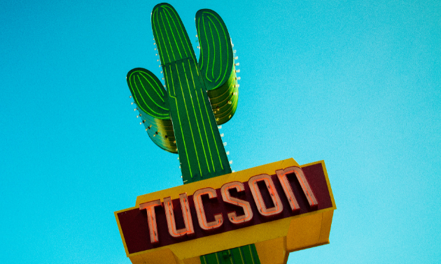 This isn’t the only cactus you’ll spot when you visit Tucson, Arizona. 