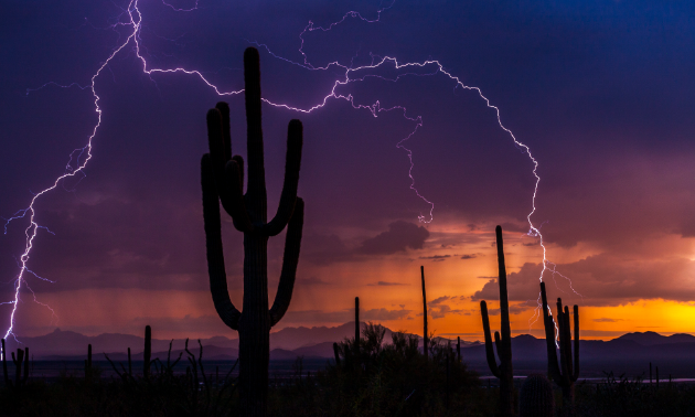 A monsoon storm produced a forked lightning bolt near the Red Hills Visitors Center at Saguaro National Park.