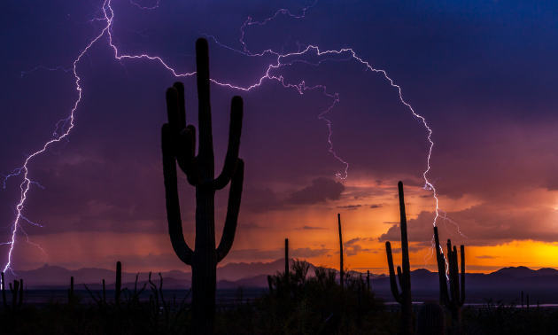 A monsoon storm produced a forked lightning bolt near the Red Hills Visitors Center at Saguaro National Park. 