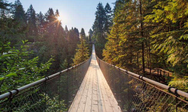 Capilano Suspension Bridge is a long suspended footbridge spanning 137 metres (450 feet) long and 70 metres (230 feet) high above the Capilano River below.
