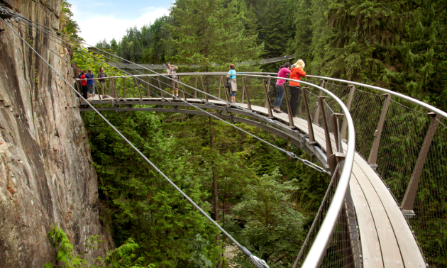 Take a tree-to-tree tour through Treetops Adventure.