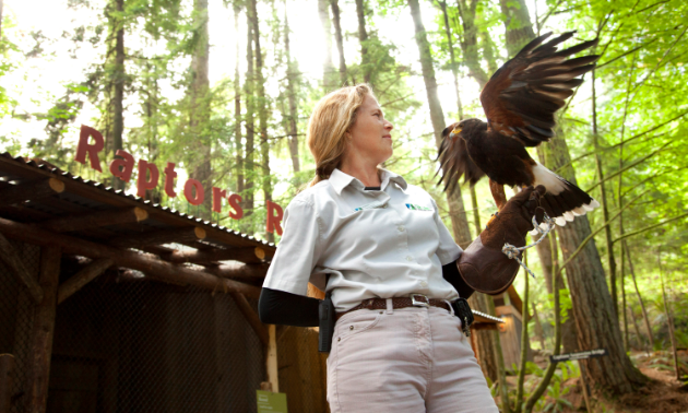 Raptors Ridge offers guests an up-close look at birds of prey.