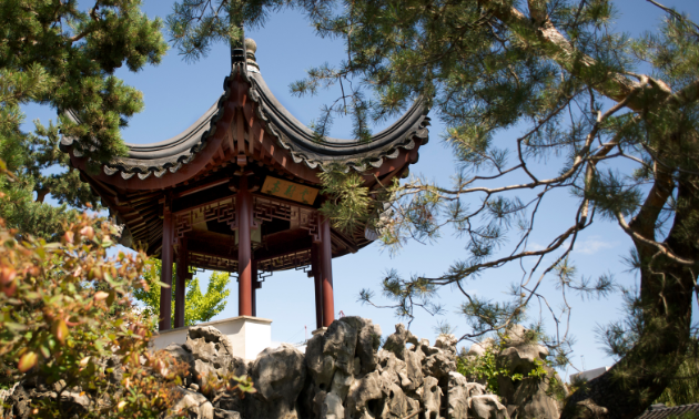 Most visitors to Dr. Sun Yat-Sen Classical Chinese Garden enjoy the contrasting view of the Ting (Chinese gazebo) and Vancouver’s cityscape.