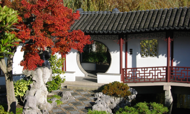 Plants play a vital role in the design of classical Chinese gardens.