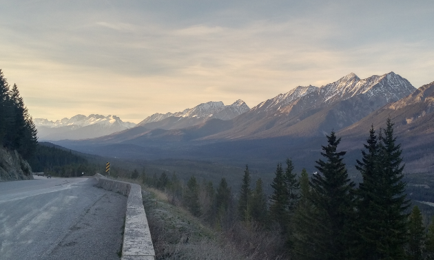 Kootenay Valley Viewpoint is one of the sights to see within the Golden Triangle.