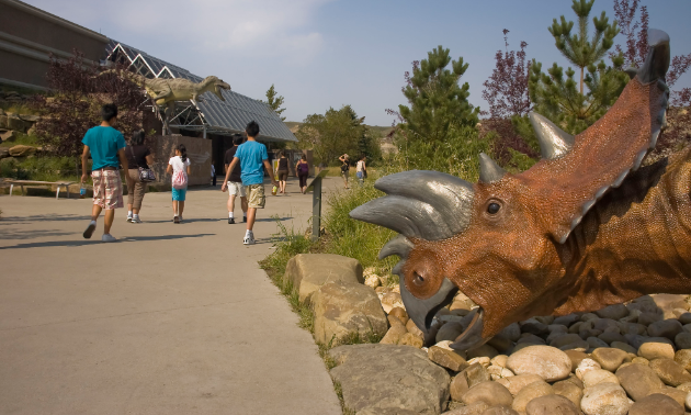 The Royal Tyrrell Museum is a world-renowned museum and research facility situated in the rugged Canadian Badlands, which offers some of the richest deposits of dinosaur fossils in the world. 