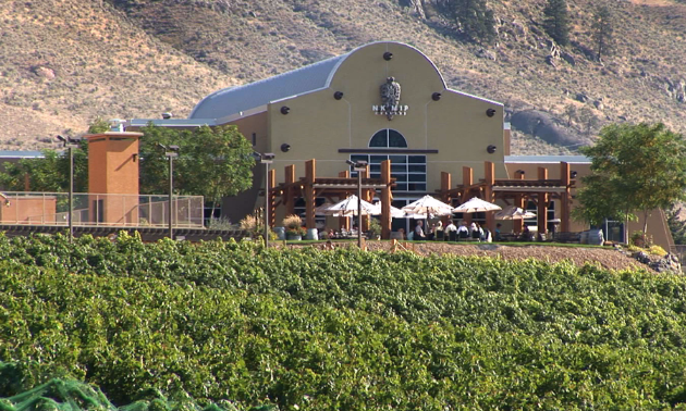 Nk'Mip Cellars Winery and Vineyard in Osoyoos, B.C.