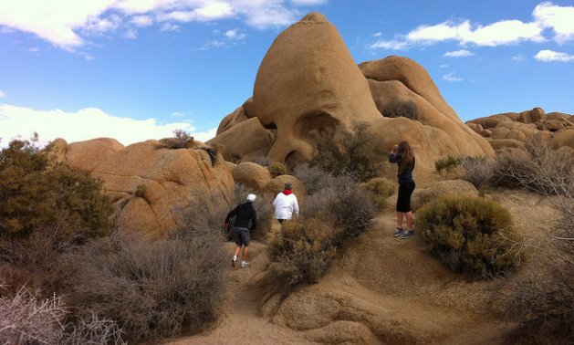 Joshua Tree National Park