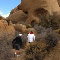 Joshua Tree National Park