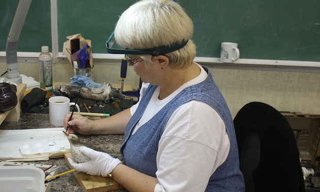 Kathy Phoenix carving a spotted sandpiper decoy. 