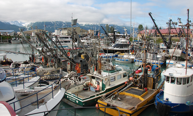 View of the marina in Valdez, Alaska. 
