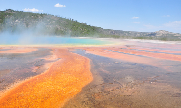 Yellowstone National Park.