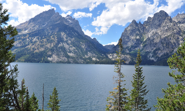 Yellowstone National Park.
