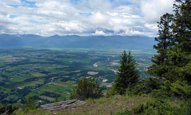The Mt. Thompson trail system offers beautiful views like these. The Creston Valley Forest Corporation will be improving this network with support from Columbia Basin Trust’s Trail Enhancement Grants.