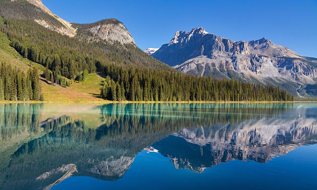 On average, BC Parks receives 300 to 400 park-use permit applications each year.