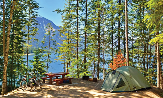 Tent, picnic bench and bike at campsite. 