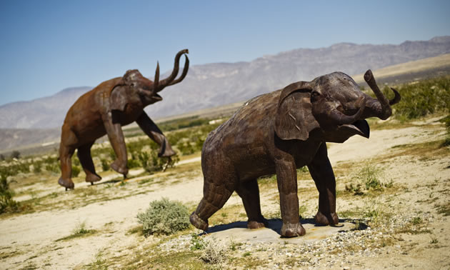 Elephants sculpted from metal in the desert near Borrego Springs, California