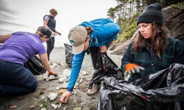 A group of volunteers cleaning up a beach. 