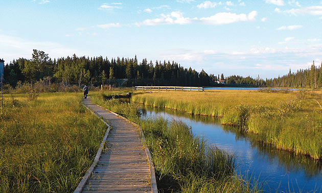 people walking along a boardwalk