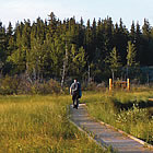 people walking along a boardwalk