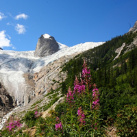 A thumb of rock pokes up  from this glacier in Bugaboo Provincial Park west of Radium Hot Springs, B.C.