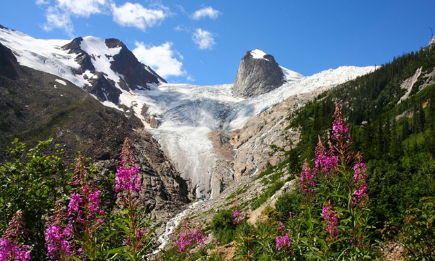 A thumb of rock pokes up  from this glacier in Bugaboo Provincial Park west of Radium Hot Springs, B.C.